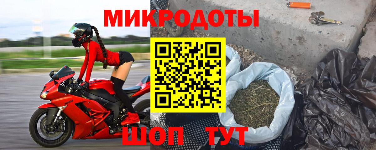 Галлюциногенные грибы Cubensis Светлоград