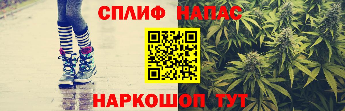 Конопля планчик Светлоград